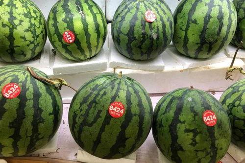 1块吃瓜,揭秘吃瓜背后的文化现象