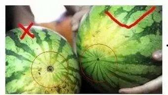 福州金融圈 吃瓜