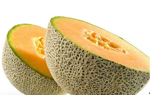 吃狗肉可以吃哈密瓜么,探寻异域美食的奇妙搭配