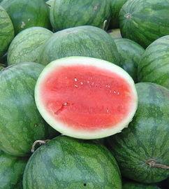 吃细瓜的功效与作用,揭秘细瓜的功效与作用