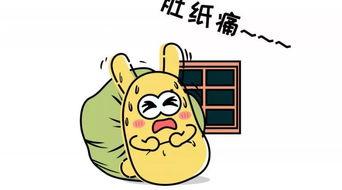 吃瓜群众星月,吃瓜群众眼中的娱乐圈风云人物