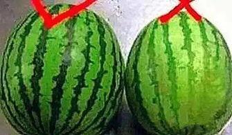 更多热门大瓜吃瓜,揭秘明星背后的惊人真相！