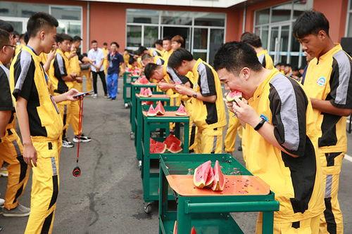 沈阳吃瓜大队,揭秘城市生活圈的热辣话题与趣味瞬间