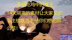 呆瓜菲吃鸡,一场趣味横生的冒险盛宴