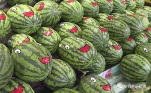 吃瓜听声音,揭秘吃瓜听声音的神奇奥秘