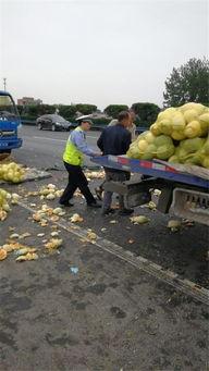 许昌吃瓜拍照地点,瓜田风光摄影攻略
